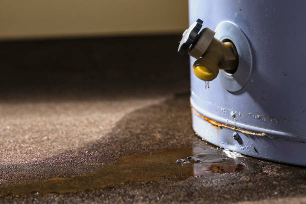 Best Water damage restoration specialists  in Romancoke, MD