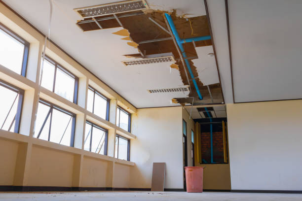 Best Commercial water damage restoration  in Romancoke, MD