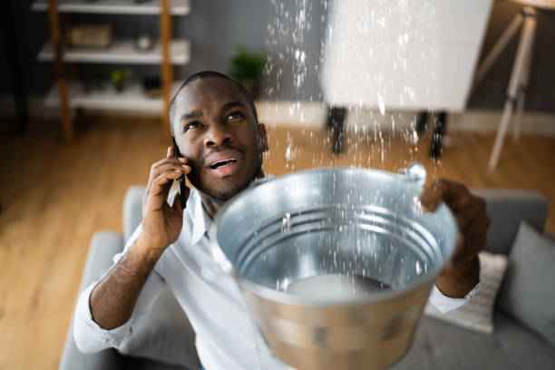 Best Mold removal after water damage  in Romancoke, MD