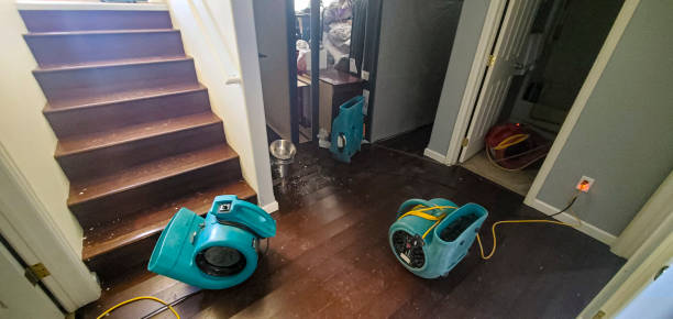Best 24/7 water damage repair  in Romancoke, MD