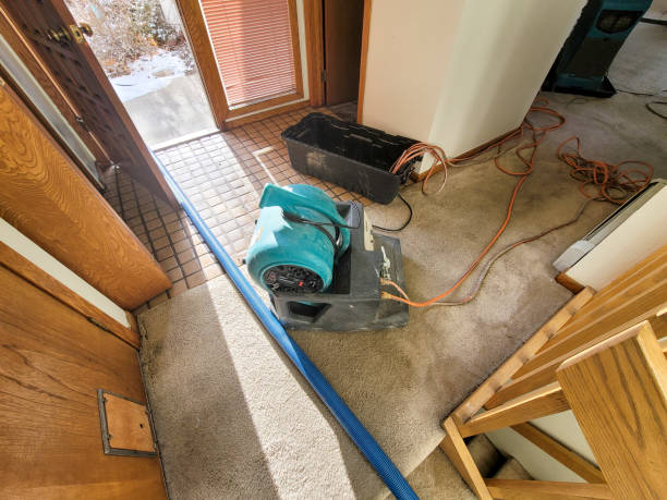 Best Water damage restoration near me  in Romancoke, MD