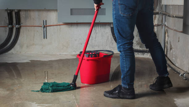 Best Water damage restoration company  in Romancoke, MD
