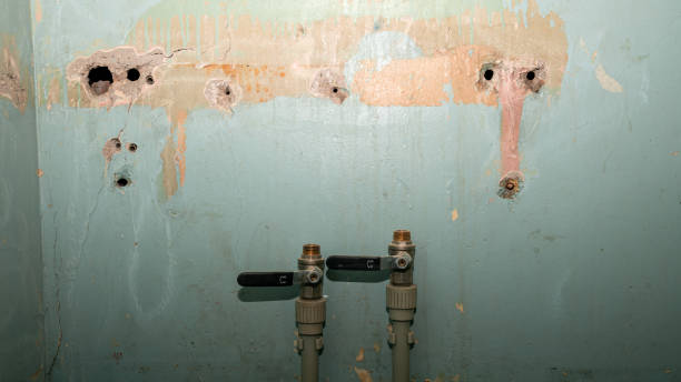Best Water damage restoration process  in Romancoke, MD