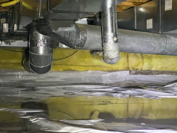 Best Local water damage restoration  in Romancoke, MD