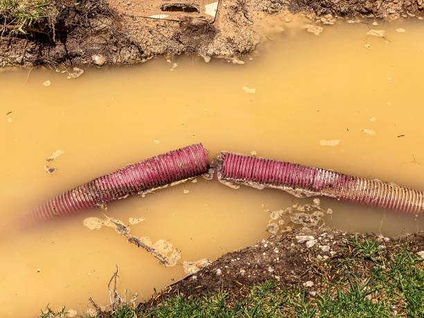 Best Commercial water damage restoration  in Romancoke, MD