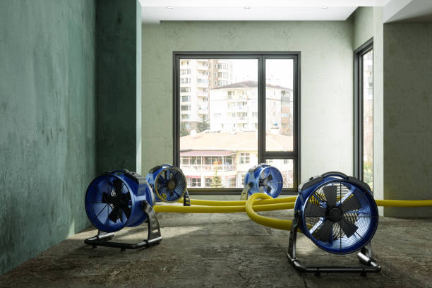 Best Water damage contractors near me  in Romancoke, MD