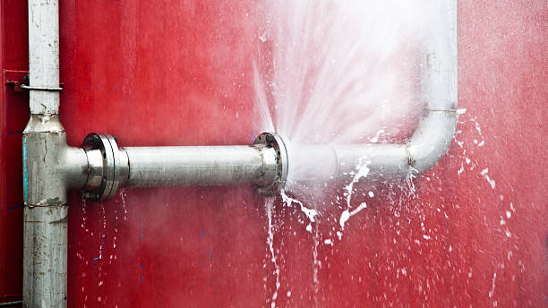 Best Professional water damage repair  in Romancoke, MD