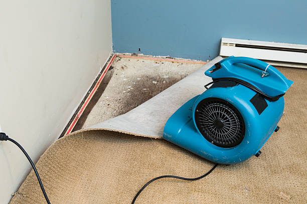 Best Ceiling water damage repair  in Romancoke, MD