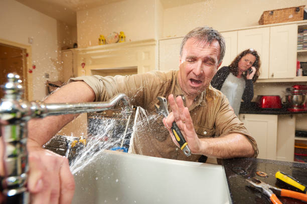 Best Water damage cleanup near me  in Romancoke, MD
